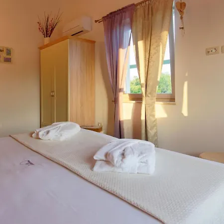 Villa Rustic Stella Polaris In Visnjan *